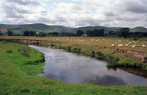 Cheviots from Ewart Park Bridge