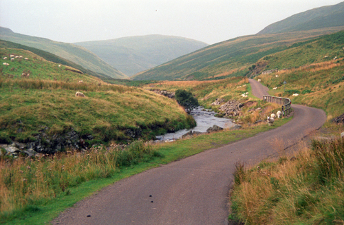Coquet Valley
