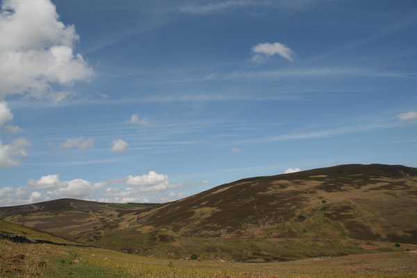 Peat Law on the right