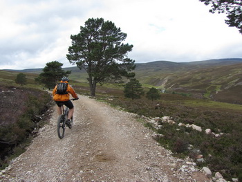 River Dulnain valley