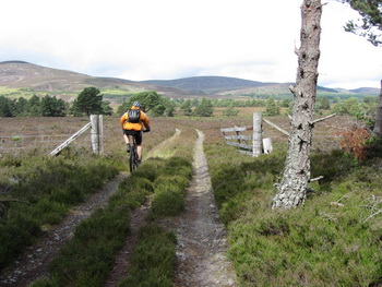 towards Insharn